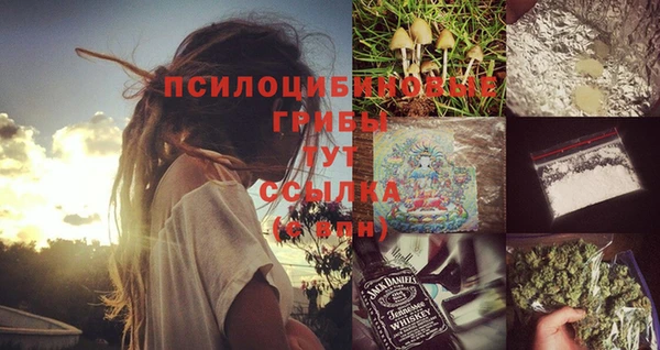 mdpv Янаул